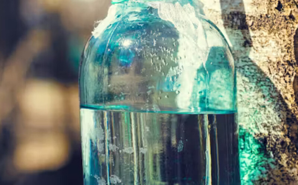 سائل البتولا: مشروب الربيع الطبيعي لتعزيز الصحة