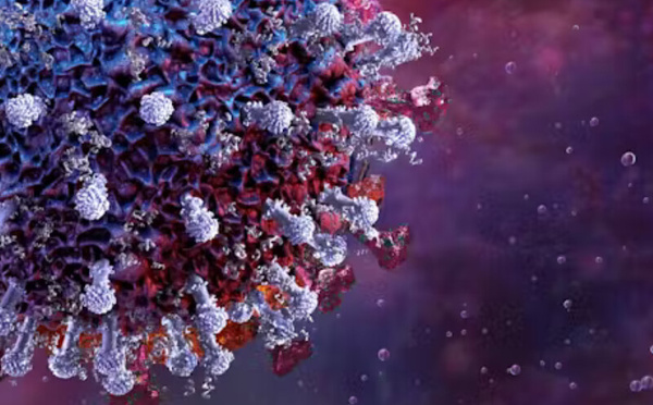 متحور "Cicada" الجديد لكوفيد-19: ما يجب معرفته