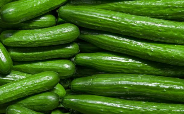 المغرب يسيطر على 72% من واردات إسبانيا من الخيار سنة 2025