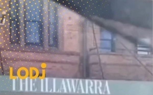 مواجهة صادمة: كنغر يهاجم رجلاً أمام فندق في أستراليا