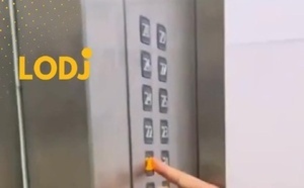 صبر ورحمة… رحلة طريفة لكلب داخل المصعد بحثاً عن بيته