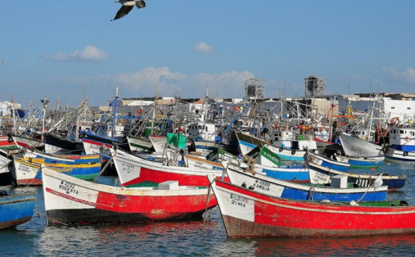 ميناء العرائش يسجل انخفاضاً ملحوضا في مفرغات الصيد