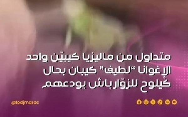 لحظة نادرة بين السياح وحيوان بري تثير التفاعل