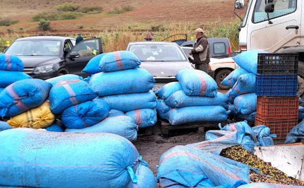 المغرب يعزز حماية البيئة الصناعية عبر دعم مالي وتأهيل بيئي للمقاولات