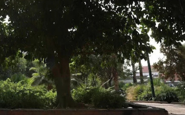 موجة حرارة مبكرة بالمغرب: بين انطباع “صيف مستعجل” وتأكيد الخبراء على الطابع الطبيعي