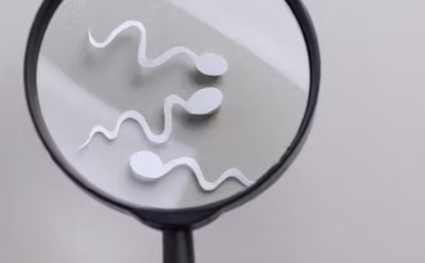 العقم عند الرجال وعلاقته المحتملة ببعض أنواع السرطان: ما الذي تكشفه الدراسات الحديثة؟