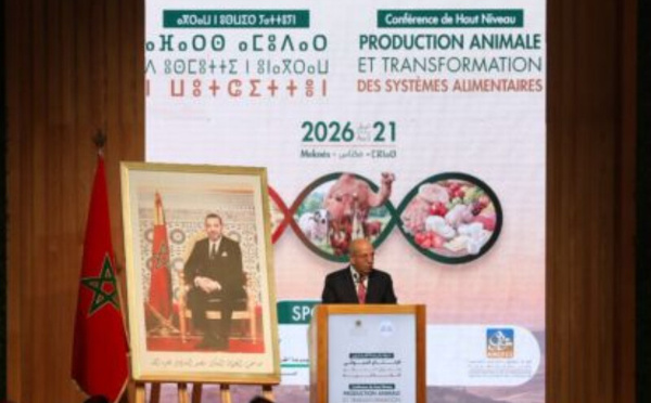 البواري من مكناس : إنتاج الحبوب يقترب من 90 مليون قنطار في ظل موسم  فلاحي واعد