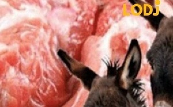 تقارير: جدل حول السماح ببيع لحم الحمير في الأرجنتين
