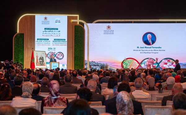 ​الملتقى الدولي للفلاحة بالمغرب 2026: ندوة رفيعة المستوى حول الإنتاج الحيواني وتحول النظم الغذائية