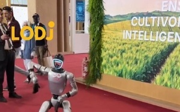 معرض الفلاحة فمكناس ولا عرس فالراشيدية