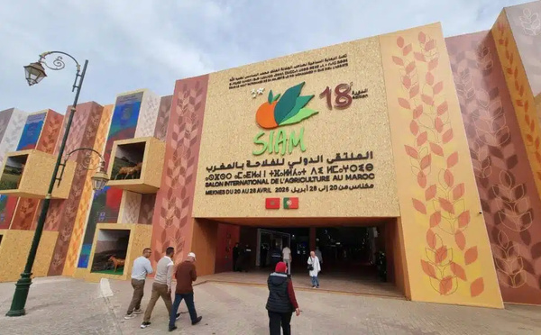إطلاق مشروع تجريبي للرقمنة في عمليات الأداء لصالح التعاونيات خلال المعرض الدولي للفلاحة بالمغرب 2026