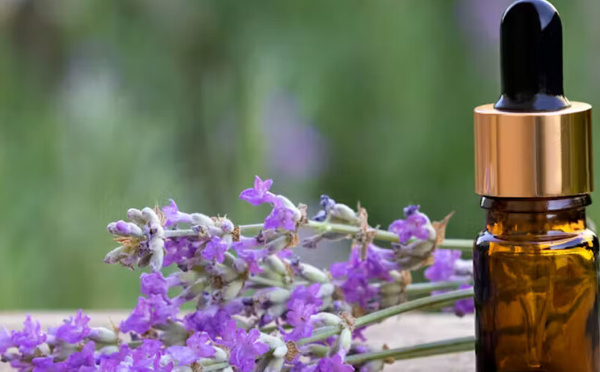 الخُزامى السِّبِيك (Lavande aspic): زيت عطري طبيعي متعدد الفوائد للعناية بالبشرة