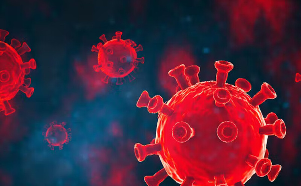 اكتشاف فيروس كورونا جديد لدى الخفافيش: هل يجب القلق من جائحة جديدة؟