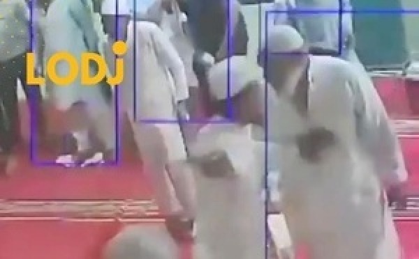 فيديو يوثق ظهور ثعبان داخل قاعة صلاة ويثير الذعر