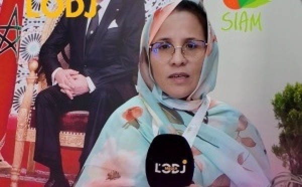 موعد جديد من "Tsserkila F’Stand" مع فاعلين ومنتوجات من جهة ڭلميم وادي نون