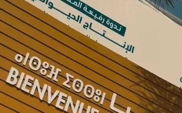 موعد جديد من Tsserkila F’Stand مع خديجة شكري من تعاونية الأماني، من جهة العيون الساقية الحمراء