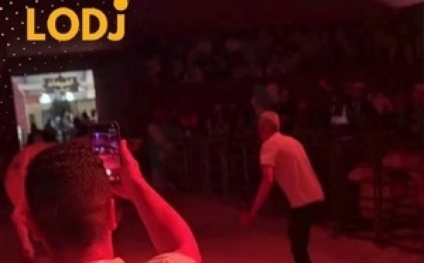 عجل يثير الارتباك خلال حفل بالصالون الدولي للفلاحة بمكناس