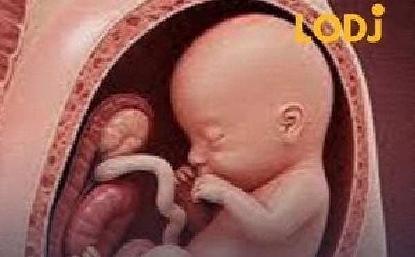 الحمل مرتبط بتعديلات في مناطق التعاطف والفهم الاجتماعي