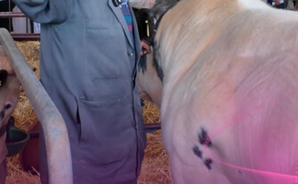 موعد جديد من Tsserkila F’Stand مع صرخة كساب من قلب الميدان ومن قلب الانشغالات الحقيقية ديال العالم القروي والثروة الحيوانية