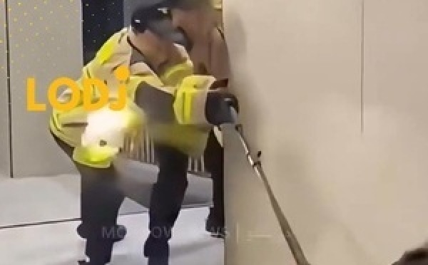 خنزير بري يقتحم بناية في South Korea ويثير حالة استنفار