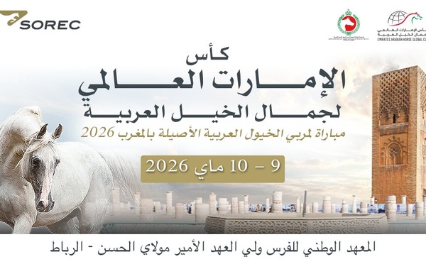​الرباط تحتفي بتميّز تربية الخيل العربية الأصيلة في «معرض مربي الخيل بالمغرب - كأس الإمارات العالمي لجمال الخيل العربية 2026»
