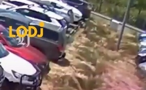 بغى يباركي بطريقة احترافية، صدق حرق الباركينغ كامل