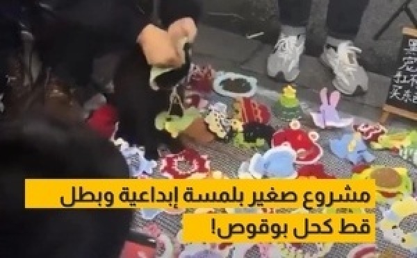 بفكرة ذكية وبسيطة.. سيدة  كتروج لمشروعها ديال الكروشي باستعمال قطها الخاص