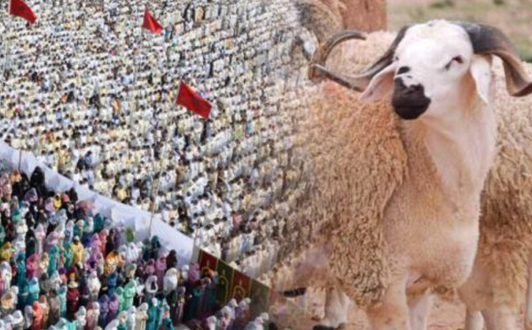 وزارة الأوقاف تعلن رسمياً : عيد الأضحى بالمغرب يوم 27 ماي 2026