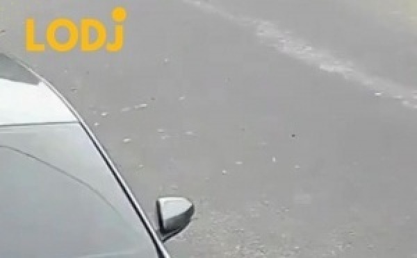 لقطة صادمة كاتوريك كيفاش حركة عشوائية من صاحب دراجة هوائية تسببات فـ حادث خطير.