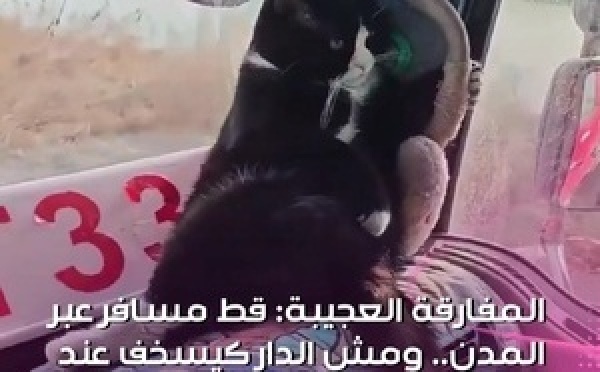 هادا هو المعنى الحقيقي ديال عايش حياتو بـ الطول والعرض