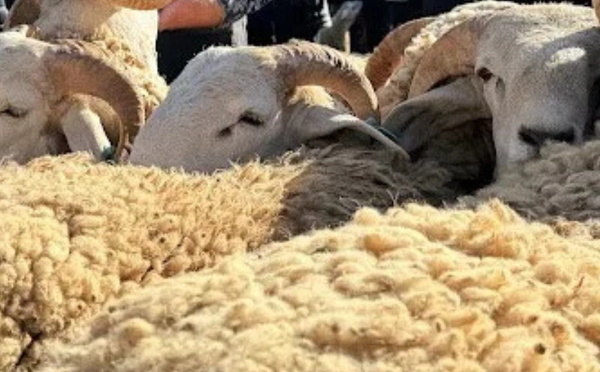 تقديم صرف أجور الموظفين قبل عيد الأضحى.. بين الدعم الاجتماعي وتحديات التوازن الاقتصادي