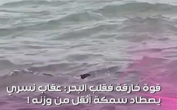 هاد الفيديو كيبين عظمة الخالق وقوة الطبيعة فـ أبهى صورها