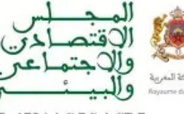 المجلس الاقتصادي والاجتماعي والبيئي يدعو إلى إصلاح عاجل للتكوين المستمر في القطاع الخاص