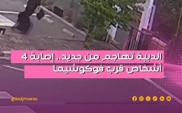 شهدت المنطقة القريبة من مدينة فوكوشيما اليابانية حادثاً مأساوياً جديداً، بعدما تسبب هجوم دب في إصابة 4 أشخاص بجروح متفاوتة الخطورة
