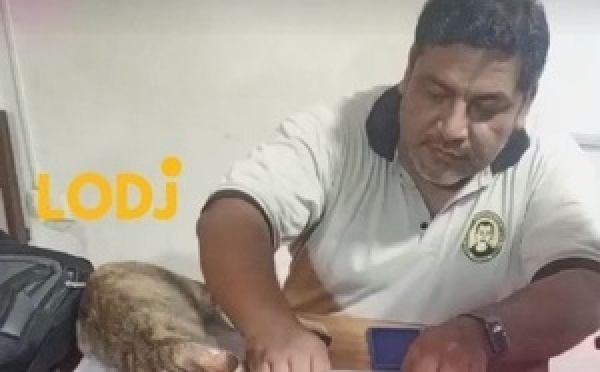 فـلفتة طريفة وفكرة مبتكرة دارت البوز، أستاذ فـ مدرسة "دون بوسكو" (Don Bosco) لقا طريقة هربانة باش يحفز التلامذ ديالو ويخليهم يقبلوا على قرايتهم بـنشاط!