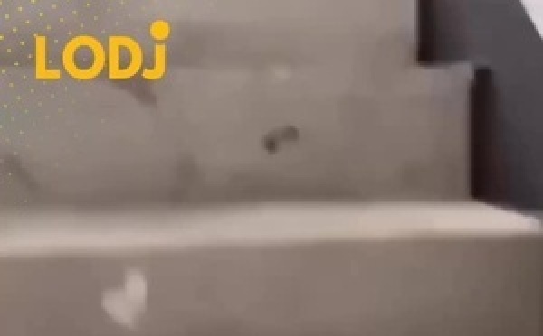 فيديو مرعب وكيبكي كيروج بقوة هاد الأيام فـ منصات التواصل الاجتماعي؛ كيوثق لواحد اللحظة خطيرة دالت على قمة التنمر والعنف المدرسي فـ وحدة من المدارس فـ الصين.