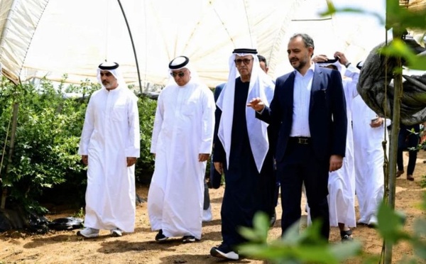 "إيليت هارفست المغرب" تعزز استثماراتها الفلاحية بضيعة جديدة للقنيطرة وتراهن على ريادة سوق الفواكه الحمراء