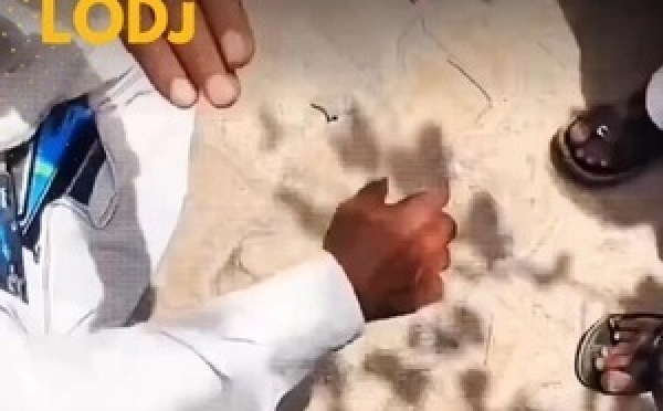 فيديو قوي ومثير للجدل كيروج فـ السوشيال ميديا؛ كيوثق لواحد المبادرة غريبة داروها سكان إحدى القرى فـ الهند، اللي قرروا جماعياً يحاربوا إدمان الشاشات بطريقة صادمة