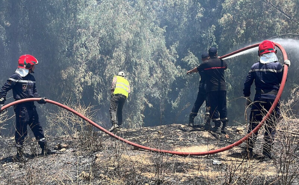 المياه والغابات تدق ناقوس الخطر :  أسبوع حار يهدد الغطاء الغابوي بالمغرب