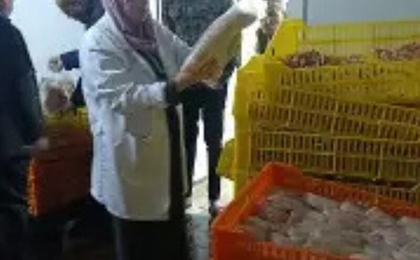 ​سوق المصحات البيطرية في المغرب يشهد نمواً متسارعاً