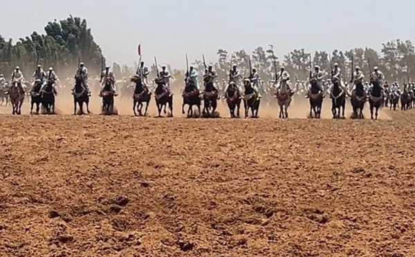 حين تنطق الخيول بلسان التراث
