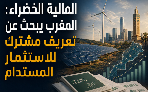 المالية الخضراء: المغرب يبحث عن تعريف مشترك للاستثمار المستدام