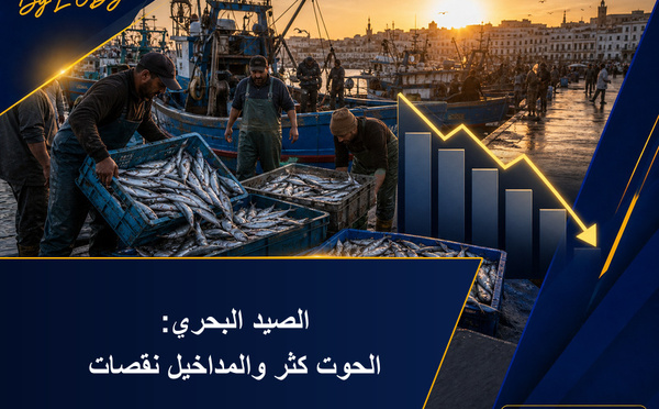 صيد البحر المتوسط: السمك كثر ولكن القيمة نقصات