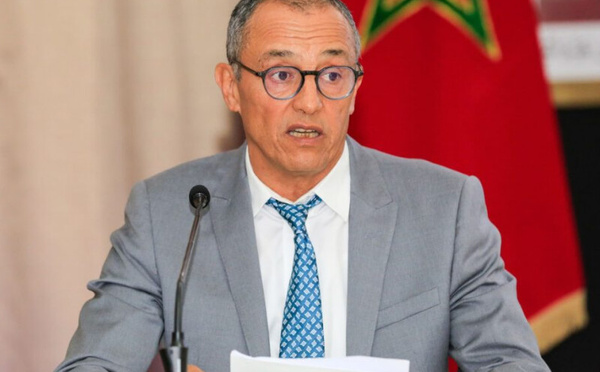 بعد قرار البرلمان الأوروبي بشأن أحداث سبتة.. الشامي : لا اتهام تجاه المغرب والحوار أساس تدبير ملف الهجرة