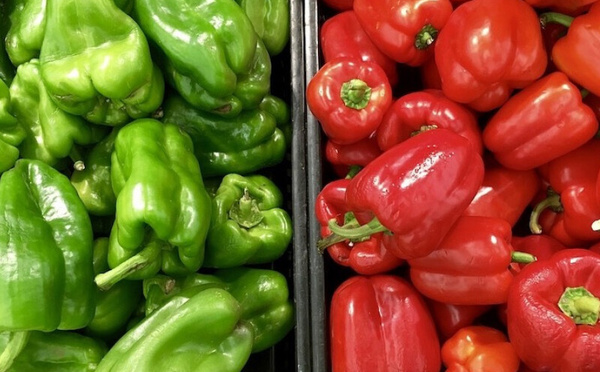 صادرات الفلفل المغربي تقفز 60% نحو بريطانيا