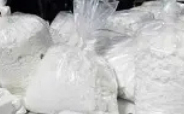 شبكات المخدرات بأمريكا اللاتينية توسّع نفوذها في إفريقيا.. من عبور الكوكايين إلى تنويع الأنشطة الإجرامية