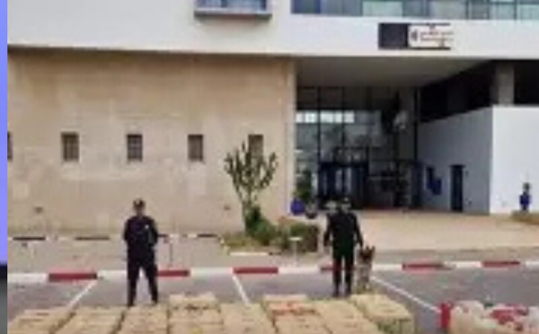 طنجة المتوسط.. إحباط محاولة لتهريب أكثر من 3.5 أطنان من مخدر الشيرا