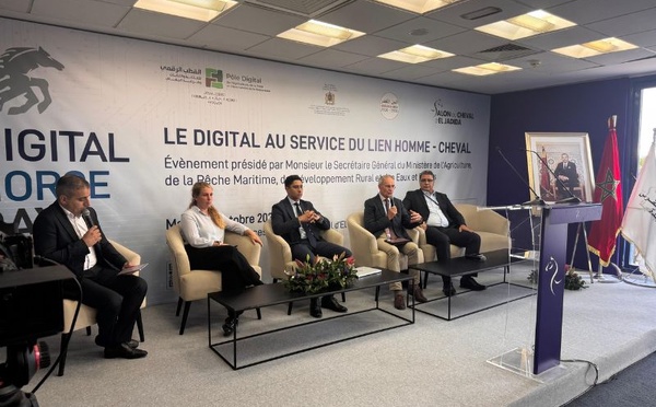 الرقمنة تدخل عالم الفروسية.. القطب الرقمي يعرض 5 حلول مبتكرة في معرض الفرس بالجديدة