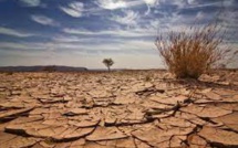 هل يودع المغرب موجة الجفاف؟؟
