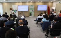 البرنامج التكويني لاستخدامات القنب الهندي العلاجية